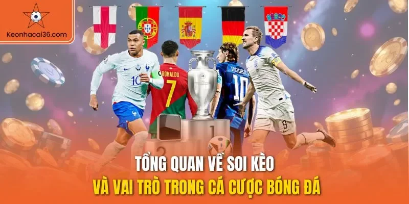 Tổng quan về soi kèo và vai trò trong cá cược bóng đá